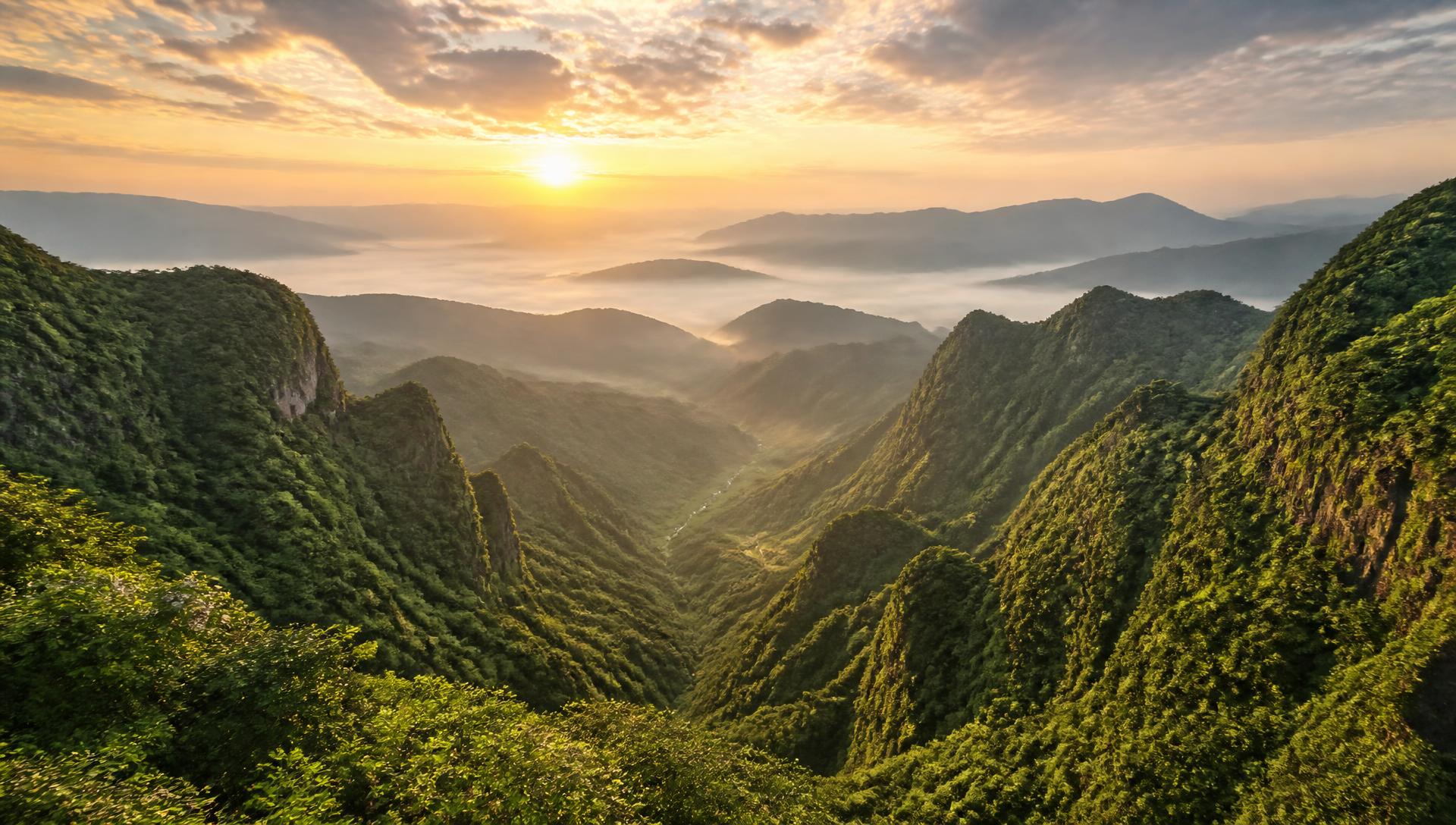 Vegetation-covered mountain valley with low mist lit by the rising sun